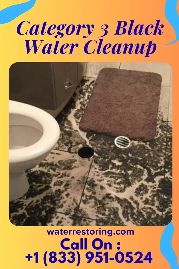 Category 3 Black Water Cleanup in Clovis, NM