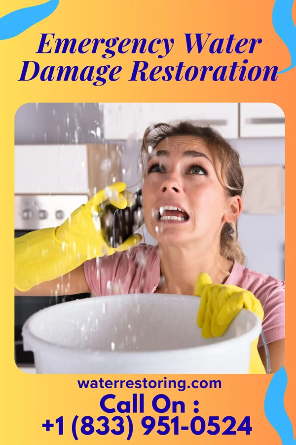 Emergency Water Damage Restoration in Clovis, NM