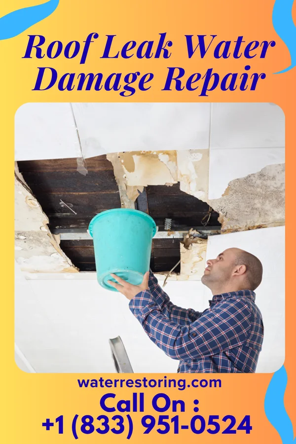 Roof Leak Water Damage Repair in Clovis, NM